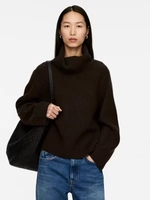 Mailles Et Cardigans-ARKET Pull en laine à col roulé Marron foncé