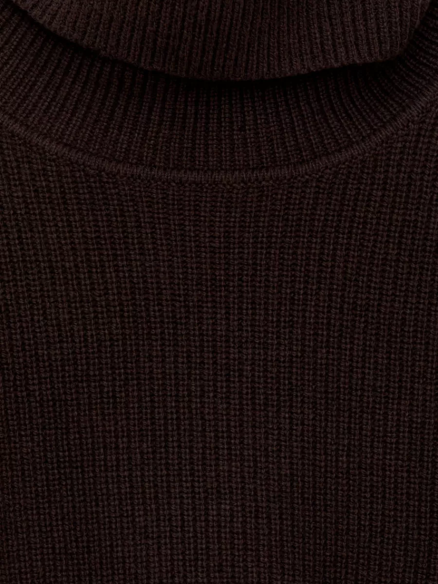 Mailles Et Cardigans-ARKET Pull en laine à col roulé Marron foncé