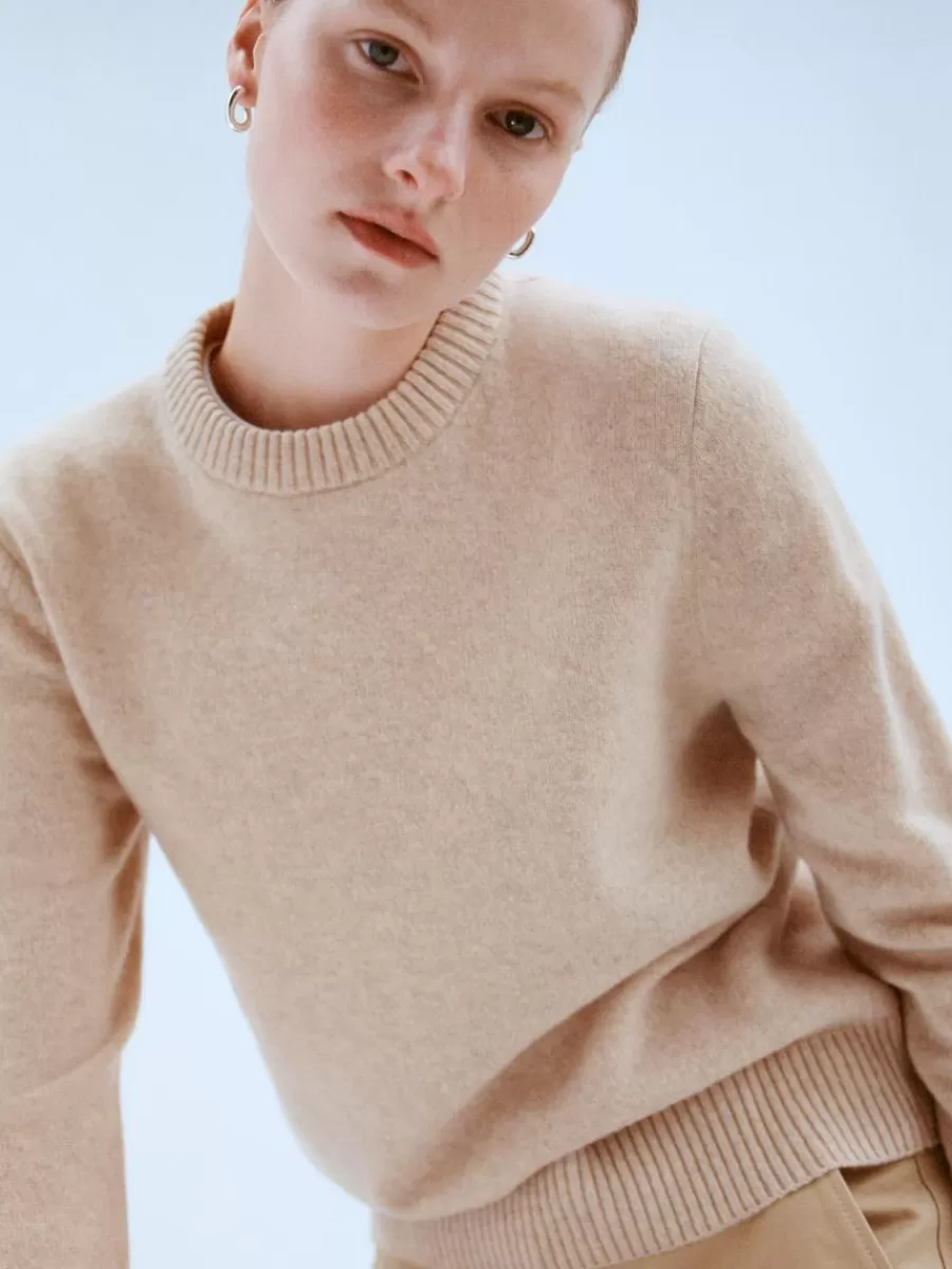 Mailles Et Cardigans-ARKET Pull en laine Nativa Beige